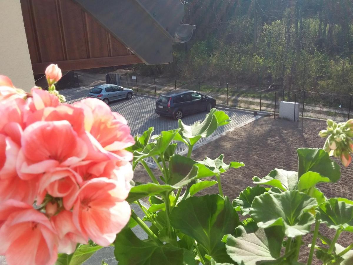 Dworek Akacja Uslugi Hotelarskie ยาโนเวียซ ภายนอก รูปภาพ